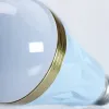 General lighting: Incandescent lamp, white bulb, tungsten filament, warm light, home, bedroom, living room Application Scenario